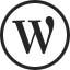 Social Media | Circle Flat icon 64x64